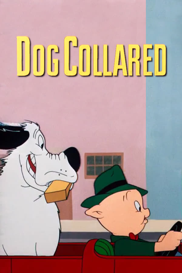 Merrie Melodies | Dog Collared